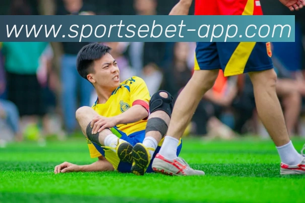 易倍体育平台生态图