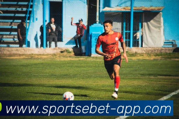 易倍体育APP 封面图